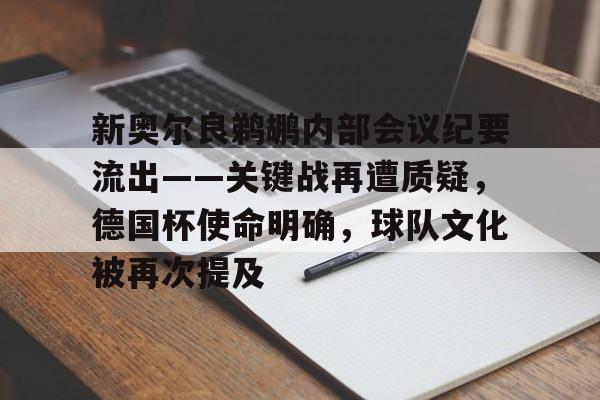 九游游戏中心-新奥尔良鹈鹕内部会议纪要流出——关键战再遭质疑，德国杯使命明确，球队文化被再次提及的简单介绍